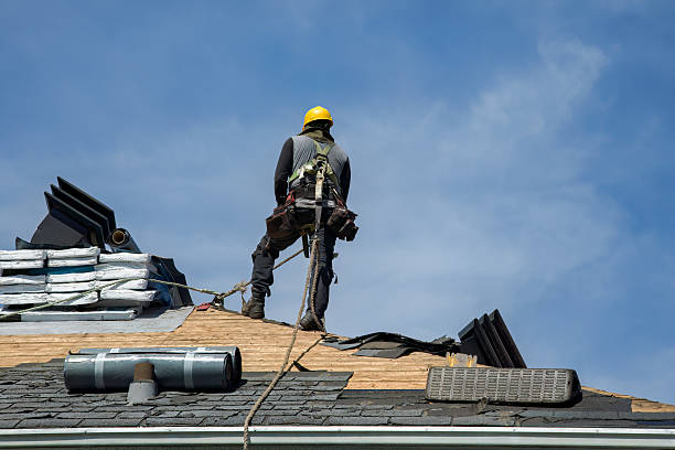 Professional Roof Replacement technician working in Euclid, MN